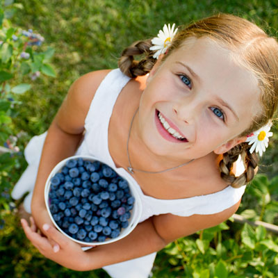 blueberry recipe